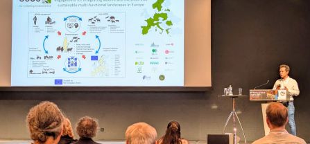 Daniel Mart&iacute;n Collado at the EAAP Annual Meeting