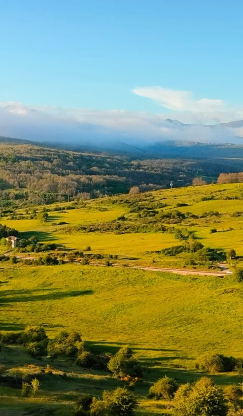 Landscape of Monta&ntilde;a Palentina study area within the Cantabrian Mountains, an emblematic mountain grazing area that supports pastoral livestock systems and rich biodiversity.