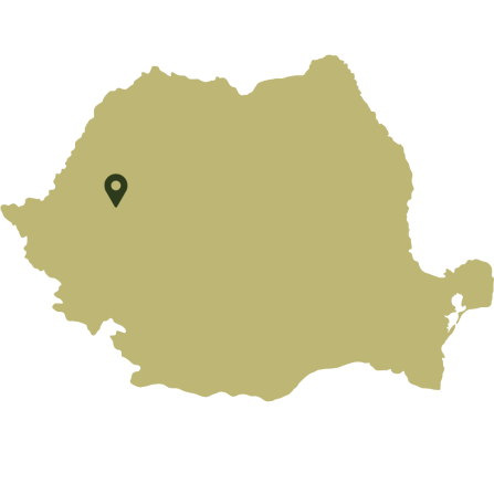 Map of Romania showing the case study location in the north-west. 
