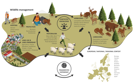 Showing a complex infographic of the CoCo framework